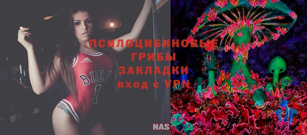 тгк Алзамай