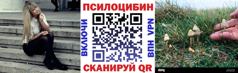 Галлюциногенные грибы Psilocybe  дарнет шоп  Богородск 